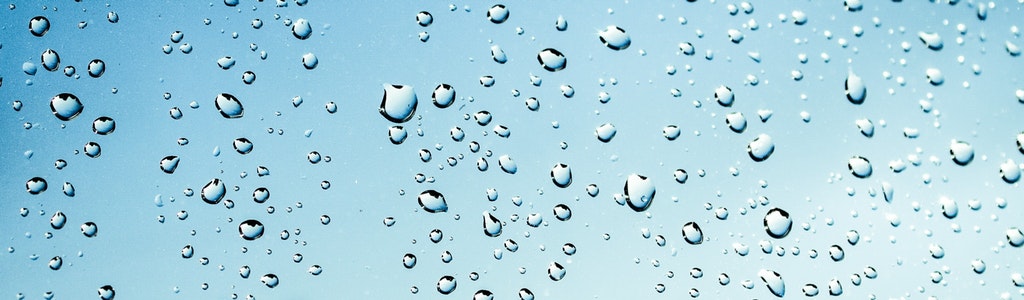 wratten-info-waterwratten